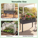Galvanized Raised Garden Bed with Legs and Greenhouse Cover for Vegetable Flower