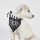 Got Treats Black Pet Bandana  | 9" W x 6" H