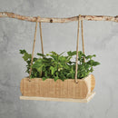 Hanging Wood Planter with Twine Rope Hanging Loops | 12"L x 7"W x 4"H