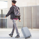 Hardside Luggage with Spinner Wheels with TSA Lock and Height Adjustable Handle