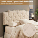 Headboard for Queen and Full Size Bed Rivet Tufted Upholstered Head Board