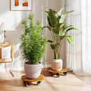 Rolling Plant Stand Set of 2 with Lockable Casters