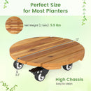 Rolling Plant Stand Set of 2 with Lockable Casters