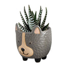 Hedgehog Pot | Decorative Ceramic Planter | 3.25" Tall