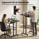 Height Adjustable Standing Desk with Wheels & Drawer