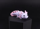 3D Printed Mini Reptile and Amphibian Fidget Toy Set – Articulated Classroom Reward Gift