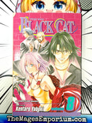 Black Cat Vol 8