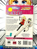 Black Cat Vol 8