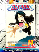 Bleach Vol 14