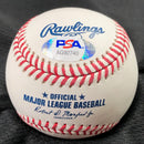 Josh Rosen signed baseball PSA/DNA Miami Dolphins autographed