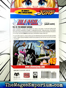 Bleach Vol 45