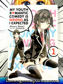 My Youth Romantic Comedy is Wrong, As I Expected Vol 1 Light Novel