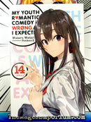 My Youth Romantic Comedy Is Wrong, As I Expected Vol 14 Light Novel