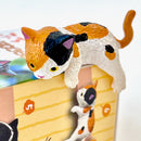 Resting Cats Blind Box (1 Blind Box)