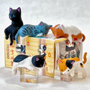 Resting Cats Blind Box (1 Blind Box)