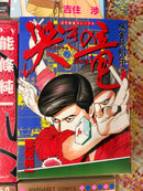 Non English Language Manga and Light Novels