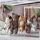 SLEEPY ANIMALS FIGURINE BLIND BOX (1 Blind Box)
