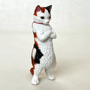 ZUN!! ATTITUDE CAT FIGURINE BLIND BOX (1 Blind Box)