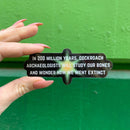 In 200 Million Years Cockroach Archaeologists Will Study Sticker | Vinyl Die Cut Decal