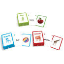Noun Flashcards