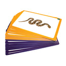 44 Sound Cards