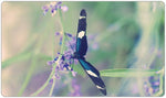 Blue Garden Butterfly Playmat