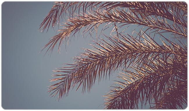 Tropical Playmat