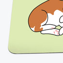 Sleepy Corgi Playmat