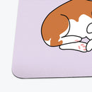 Sleepy Corgi Playmat