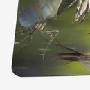 Racing Insects Playmat