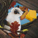 Little Lucy Playmat