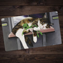 Space Cat Playmat
