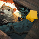Squirrel Surprise Playmat