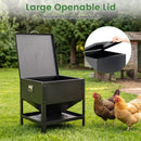 Large Capacity Chicken Feeder with Openable Lid