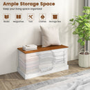 Large Storage Chest with Safety Metal Hinge