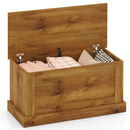Large Storage Chest with Safety Metal Hinge