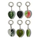 Leaf Acrylic Keychain | 7 Illustrated Styles | Double-Sided Design