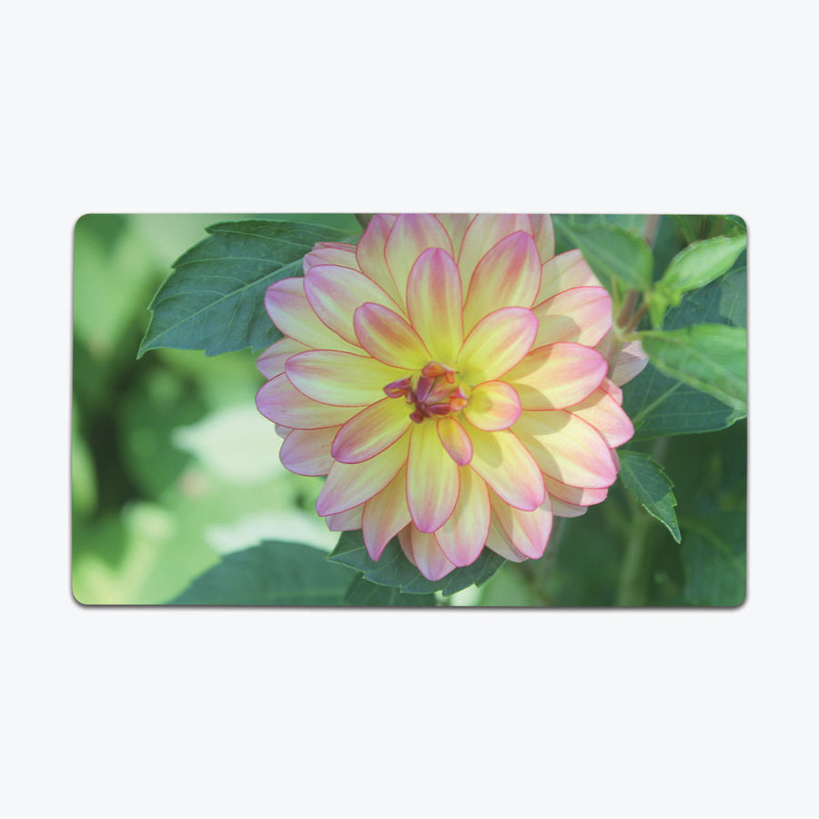 Pink Bomb Playmat