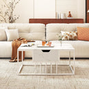 Lift Top Coffee Table Modern Center Table with Hidden Storage Compartment