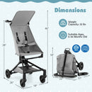 Lightweight Baby Stroller Compact and Airplane-Friendly Travel Stroller-Gray