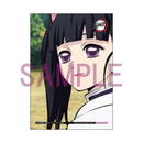 GEM Series: Demon Slayer: Kimetsu no Yaiba - Palm Size Kanao Tsuyuri (Tenohira) with Premium Gift