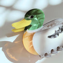 Mallard Duck Small Hair Claw