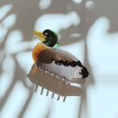 Mallard Duck Small Hair Claw