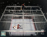 Mankind v. The Undertaker Hell in a Cell 8" x 10" WWE Wrestling Photo