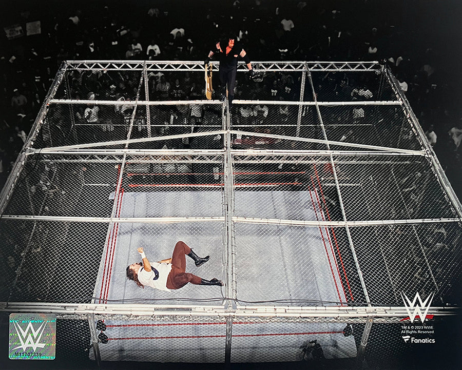 Mankind v. The Undertaker Hell in a Cell 8