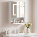 Medicine Cabinet with Mirror and 3 Color LED Lights Recessed or Wall Mounted