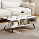 Mid Century Modern Rectangle Coffee Table 2-Tier Accent Table with 2 Open Compartments