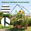 Mini Green House Metal Frame with Waterproof Bottom Mat and Wind Ropes