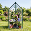 Mini Greenhouse with Metal Frame and Waterproof Cover