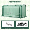 Mini Tunnel Greenhouse with Roll-up Zipper Door